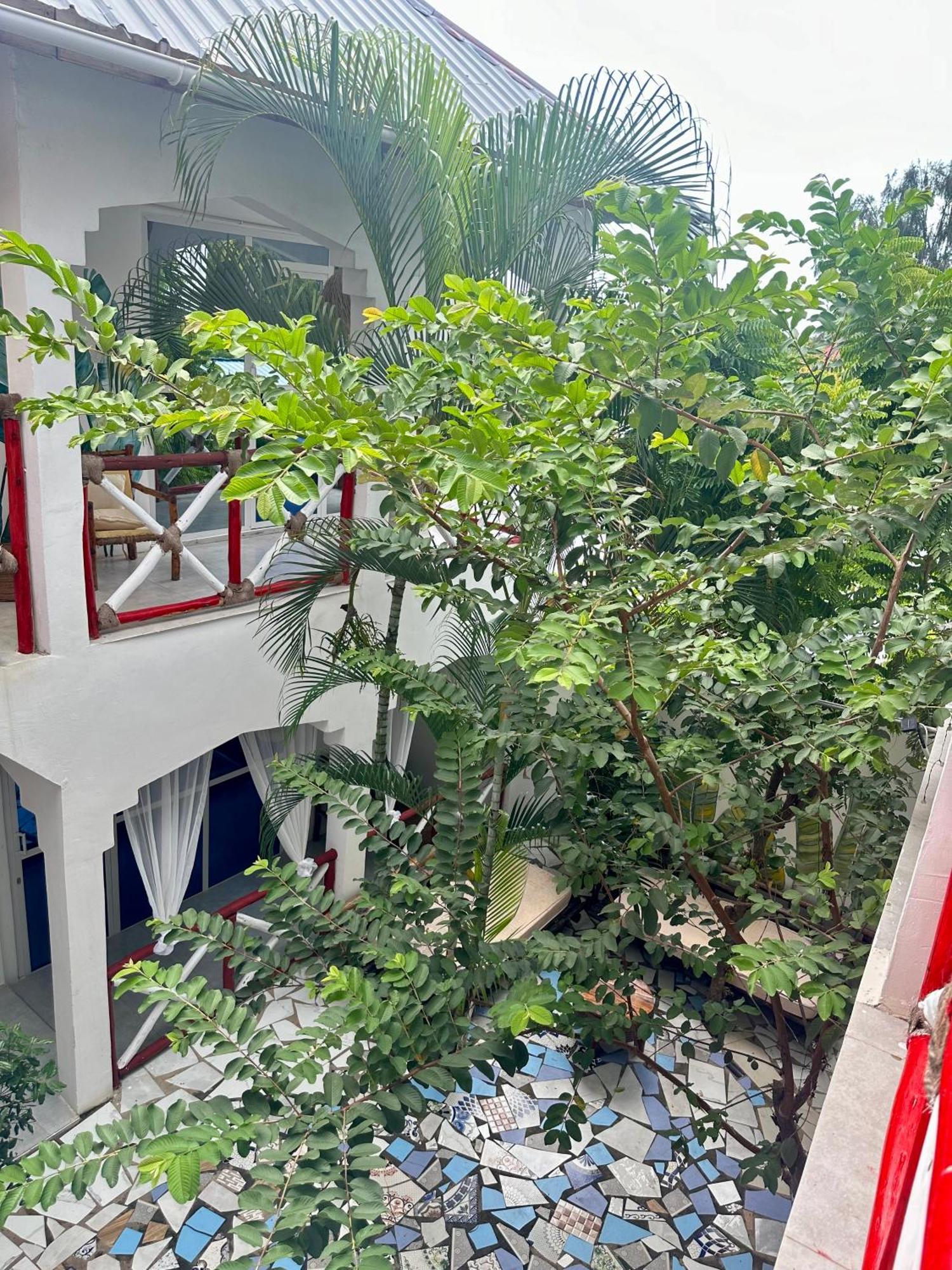 فندق Pole Pole House نونغوي المظهر الخارجي الصورة